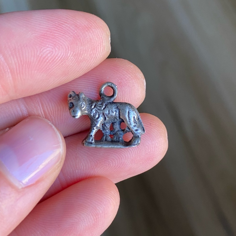 Rare Vintage Tiger Animal Cat Jewlery Charm